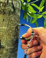 Flow1000探针式植物茎流测量系统