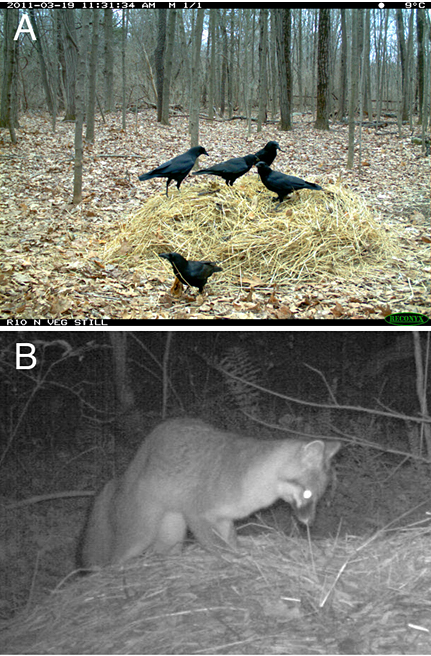 UA-002-64防水型温度光照记录仪在野生动物探访堆肥试验中的应用