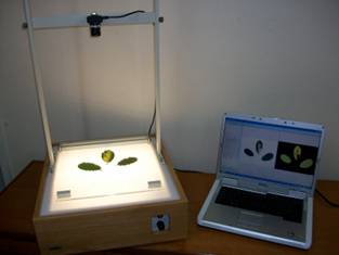 SI 700根系图像分析系统 SI 700根系图像分析系统