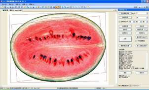 LA-S多功能植物图像分析系统 LA-S多功能植物图像分析系统