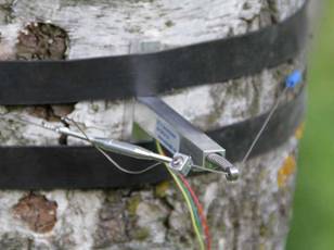 DC2树干周长生长变化传感器 DC2树干周长生长变化传感器