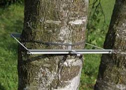 DD-L树干直径生长变化记录仪 DD-L树干直径生长变化记录仪