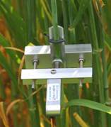 DD-S茎干直径生长变化记录仪 DD-S茎干直径生长变化记录仪