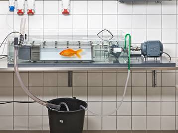 DAQ-M水生生物呼吸代谢测量系统 DAQ-M水生生物呼吸代谢测量系统