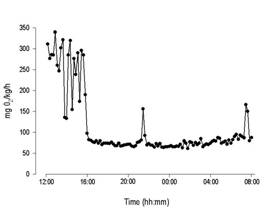 DAQ-M水生生物呼吸代谢测量系统 DAQ-M水生生物呼吸代谢测量系统