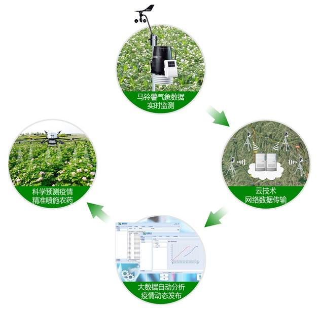 马铃薯晚疫病预警系统 马铃薯晚疫病预警系统