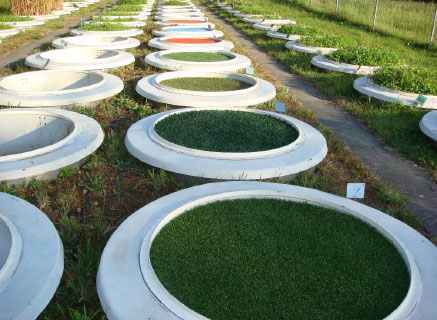 1000型土壤蒸渗监测系统 1000型土壤蒸渗监测系统