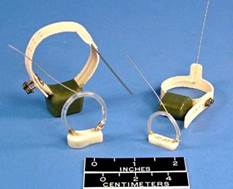 TR-4动物跟踪系统 TR-4动物跟踪系统