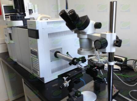 气相色谱-质谱-昆虫触角电位联用系统在中科院完成安装调试 气相色谱-质谱-昆虫触角电位联用系统在中科院完成安装调试