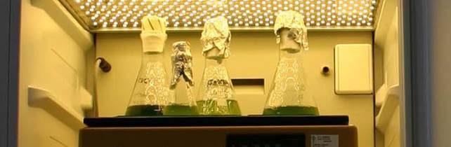 AlgaeTron AG 230孵化瓶 AlgaeTron AG 230孵化瓶