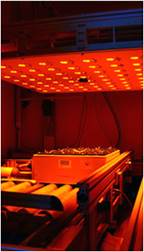 植被分析显示系统 植被分析显示系统