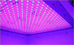 植被分析显示系统 植被分析显示系统