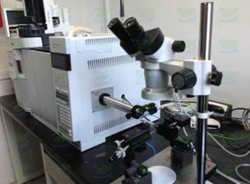 EAG昆虫触角电位仪厂家来访