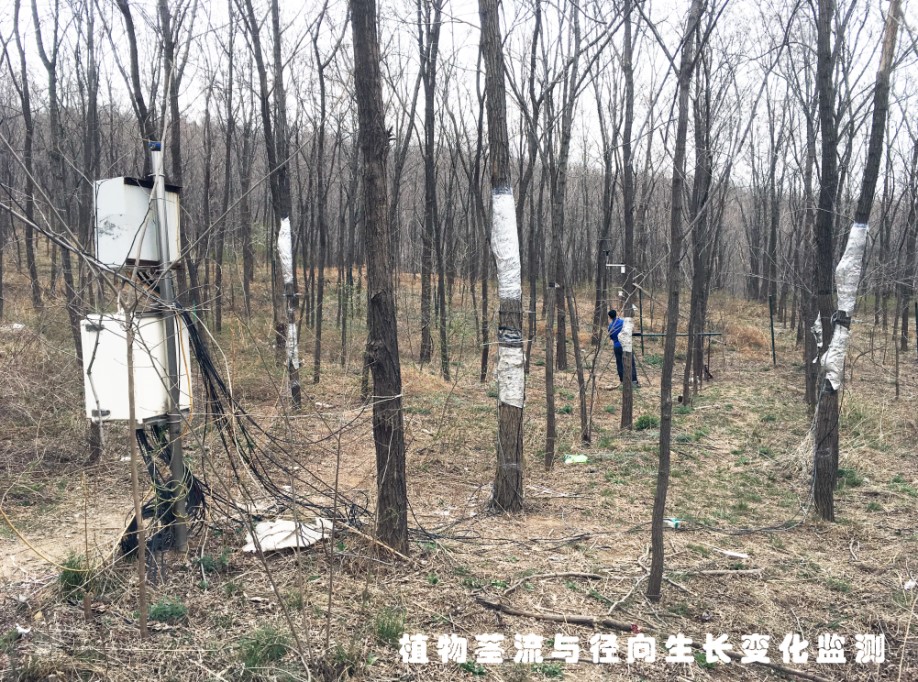 我司对中科院扶风试验站生态监测系统进行升级改造 我司对中科院扶风试验站生态监测系统进行升级改造