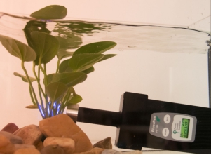 MP 100荧光测量仪 MP 100荧光测量仪