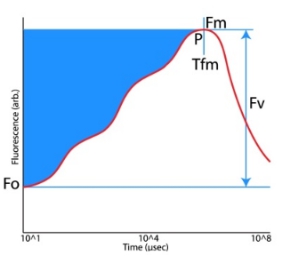 Pocket PEA植物效率分析仪 Pocket PEA植物效率分析仪