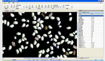 SC-E型大米外观品质检测分析仪 SC-E型大米外观品质检测分析仪