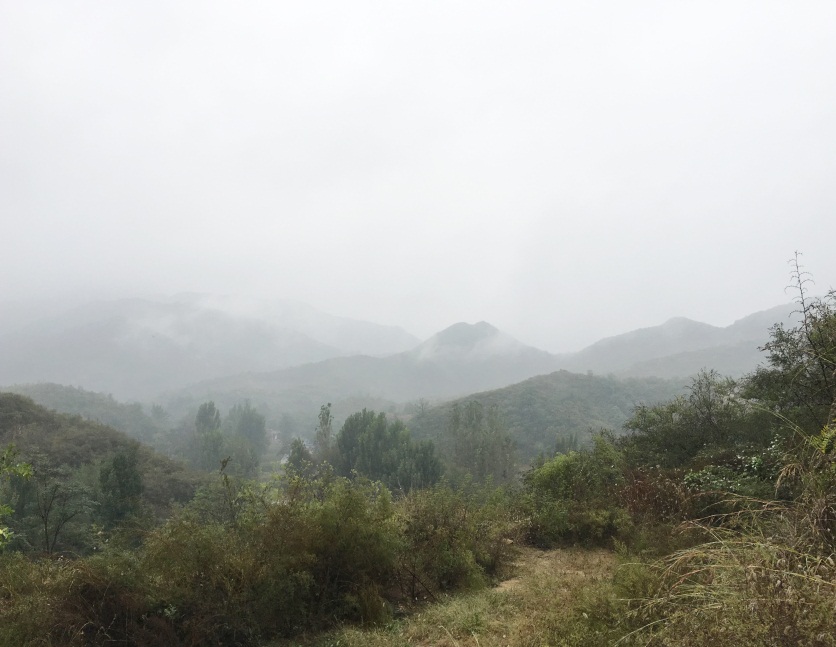 植物生理生态监测系统及自动气象站助力枣树培育 植物生理生态监测系统及自动气象站助力枣树培育