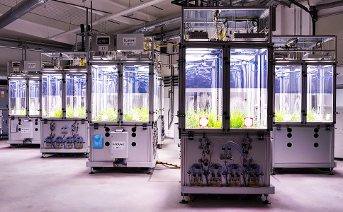 EcoUnit生态模拟控制系统 EcoUnit生态模拟控制系统