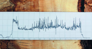 IML-RESI F系列木质检测仪 IML-RESI F系列木质检测仪