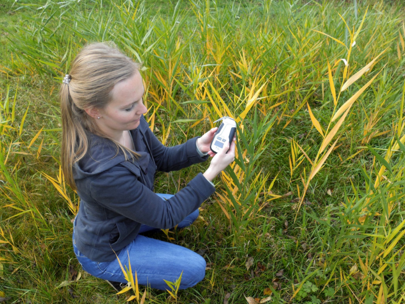 N-Pen植物氮测量仪 N-Pen植物氮测量仪