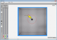 动物行为分析系统