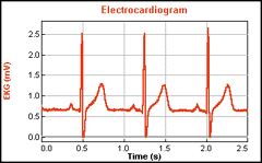 HE1LP人体生理学研究系统 HE1LP人体生理学研究系统