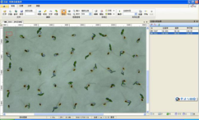 SC-G型自动考种分析及千粒重仪系统(多功能种子分析仪) SC-G型自动考种分析及千粒重仪系统(多功能种子分析仪)