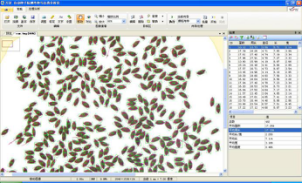 SC-G型自动考种分析及千粒重仪系统(多功能种子分析仪) SC-G型自动考种分析及千粒重仪系统(多功能种子分析仪)