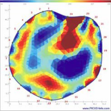 PiCUS-3树木断层检测仪 PiCUS-3树木断层检测仪
